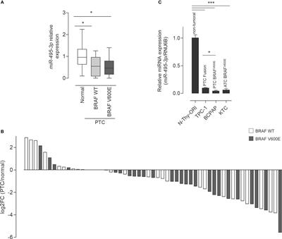 MiR-495-3p regulates cell migration and invasion in papillary thyroid carcinoma